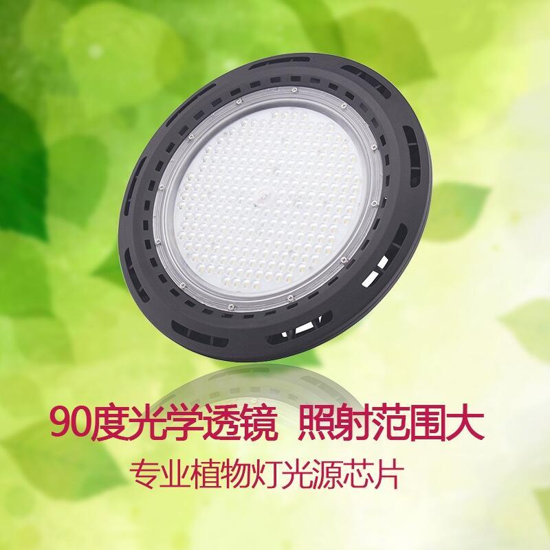 led植物廠家直銷UFO植物生長燈 50wUFO補(bǔ)光燈 火龍果補(bǔ)光燈 西紅柿補(bǔ)光燈