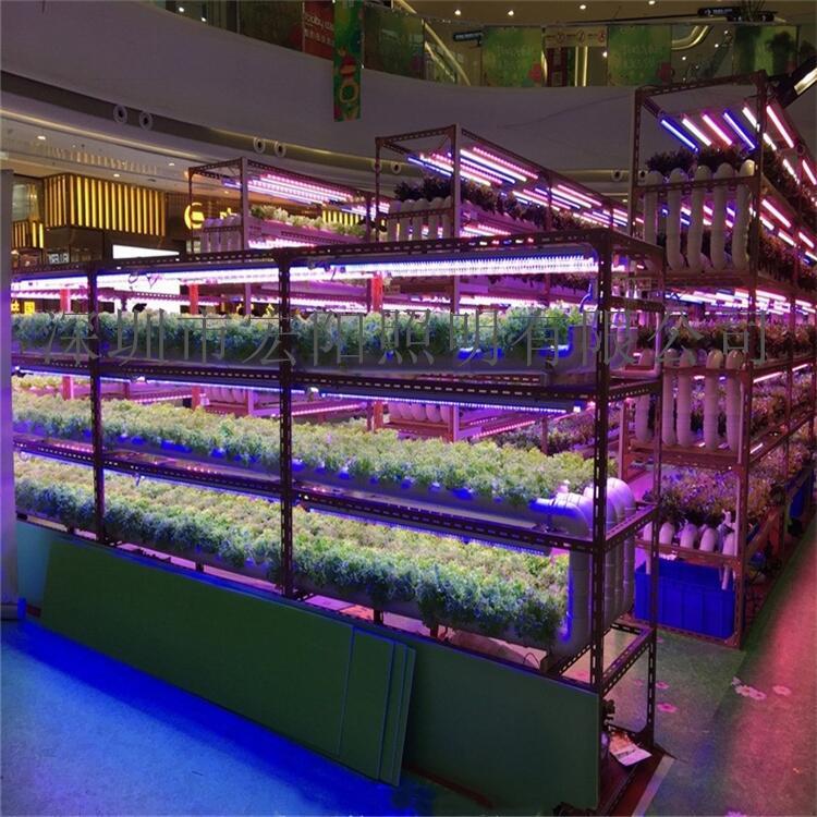 資陽(yáng)植物燈制造廠	資陽(yáng)植物燈制造廠家	資陽(yáng)LED植物燈