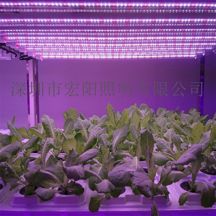漢中植物生長燈廠家	漢中植物燈生產(chǎn)廠	漢中植物燈生產(chǎn)廠家