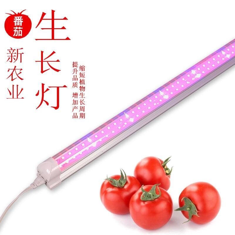 宜春植物生長燈廠家	宜春植物燈生產(chǎn)廠	宜春植物燈生產(chǎn)廠家